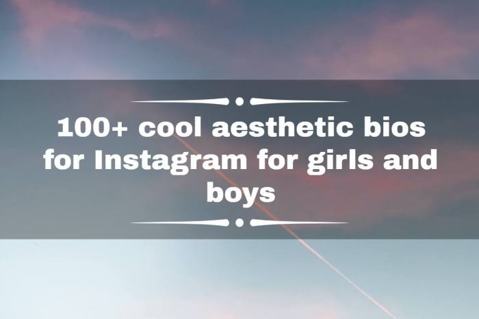 Cara Membuat Profil IG Aesthetic Menarik