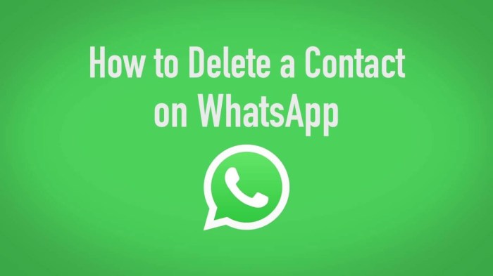 Cara Menghapus Semua Kontak Di Whatsapp dengan Mudah