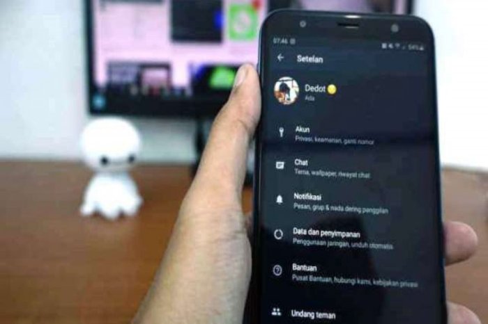Cara Menyembunyikan Info Di Wa