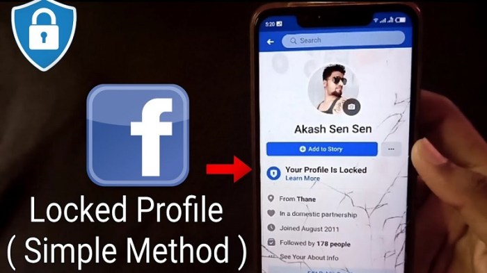 Cara Mengunci Profil Fb Tanpa Aplikasi