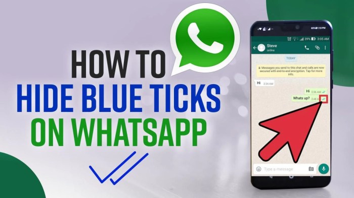 Cara Menghilangkan Ceklis Biru Di Whatsapp