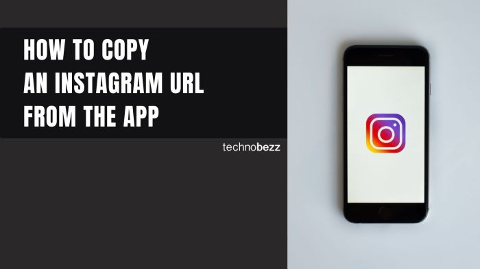Cara Salin URL Profil IG Panduan Lengkap
