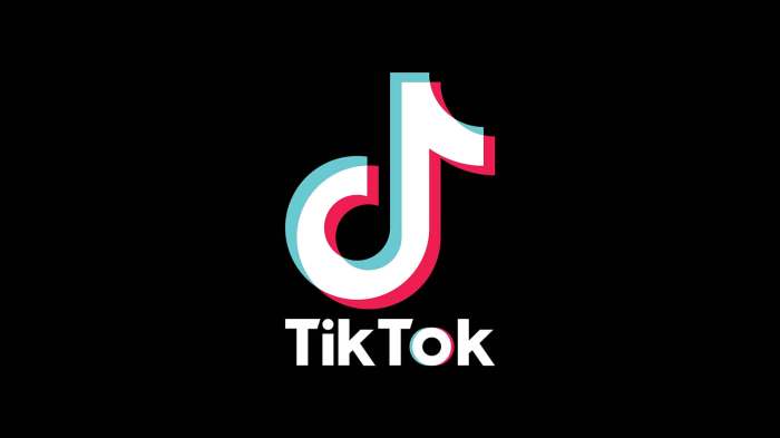 Cara Mengubah Tema TikTok Menjadi Hitam