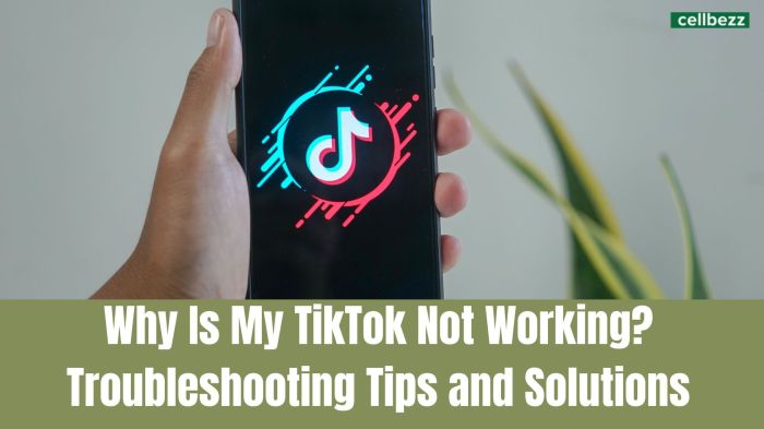 Kenapa Wifi Tidak Bisa Buka Tiktok?