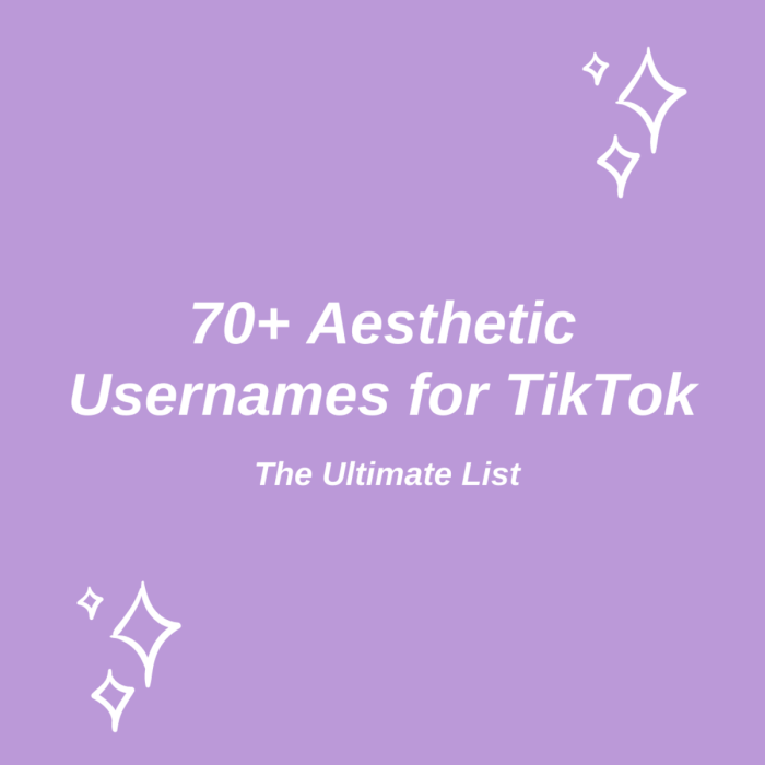 Nama Untuk Akun Tiktok Aesthetic