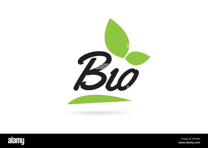 Kata-Kata Untuk Bio