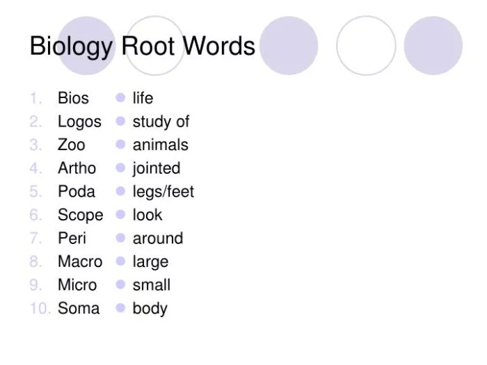 Bio word preview