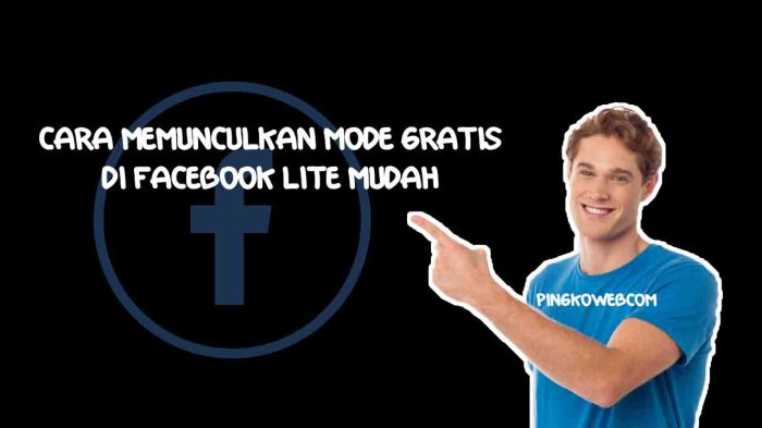 Cara Memunculkan Mode Gratis Di Fb Lite