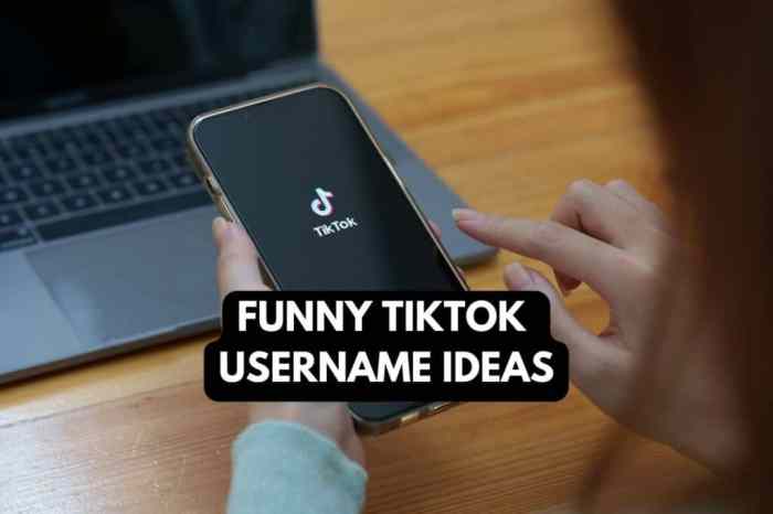 Nama Unik Untuk Akun Tiktok