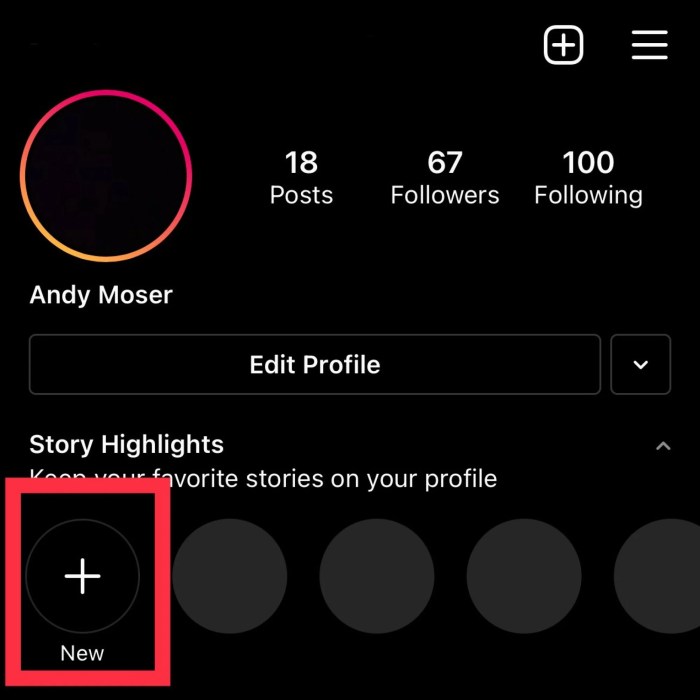 Nama Highlight Instagram Untuk Teman