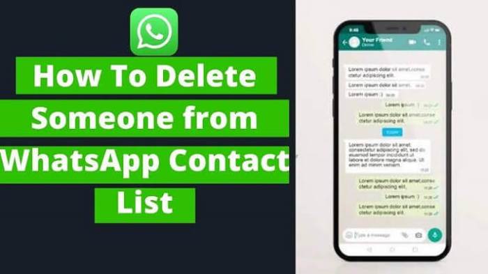 Cara Menghapus Semua Kontak Di Whatsapp